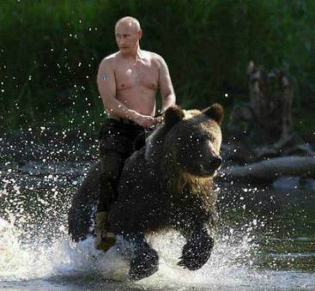 Putin riding a bear-rz.jpg