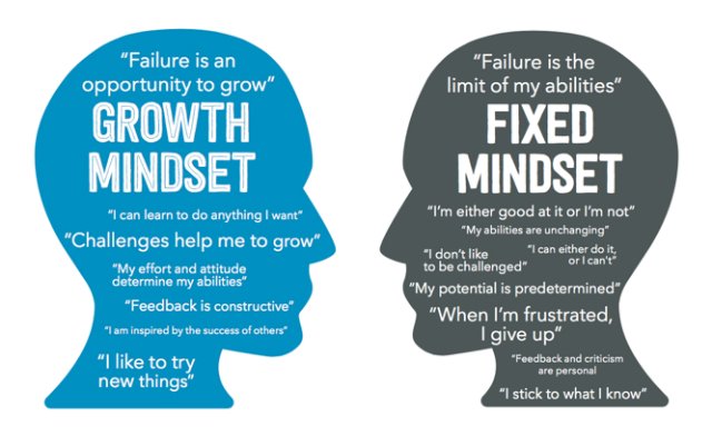 fixed v growth mindset graphic_RZ.jpg