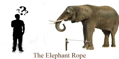 the elephant rope