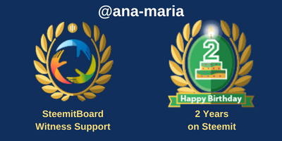 SteemitBoard Ana-Maria Personal Badges - 2 Years on Steemit