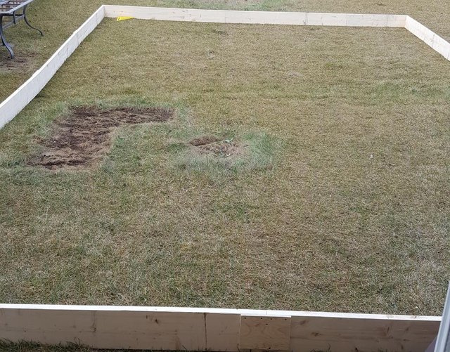 My First Backyard Ice Rink Steemit