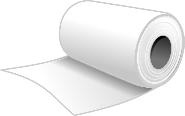 toilet-paper-150912_1280.png