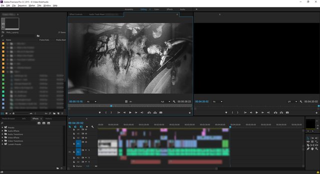 Editing in Adobe Premiere