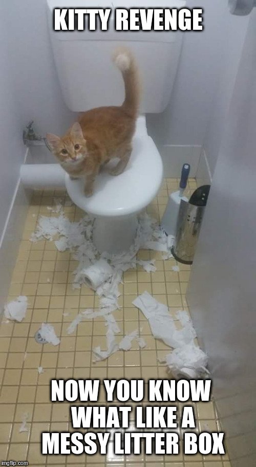 kitty-tp-revenge.jpg