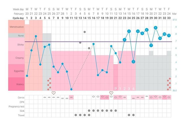 Fertility Temperature Tracking Chart