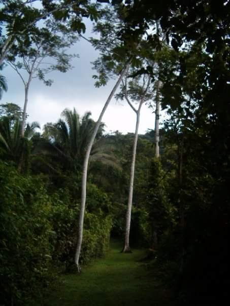 Facebook Belize