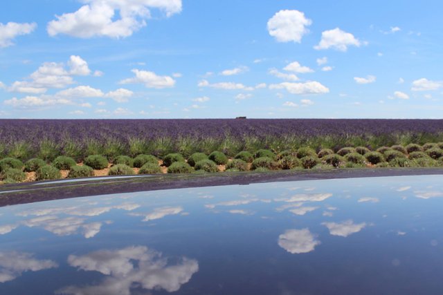 Valensole