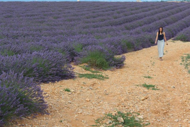 Valensole