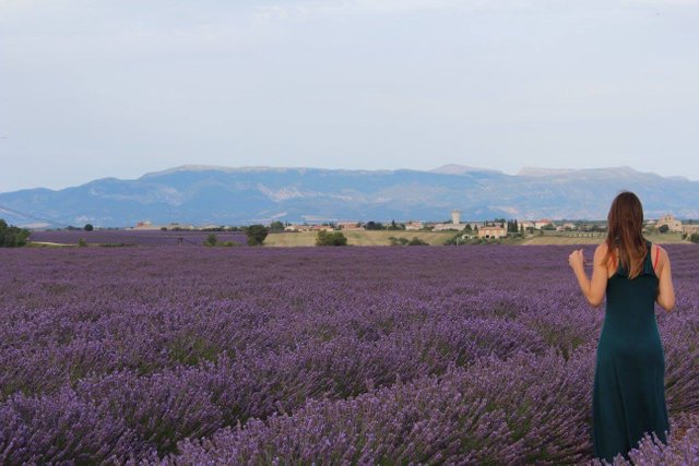 Valensole