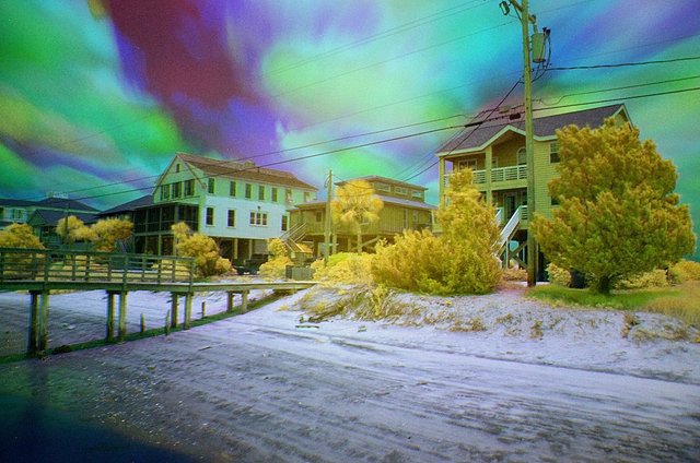 Beach Houses