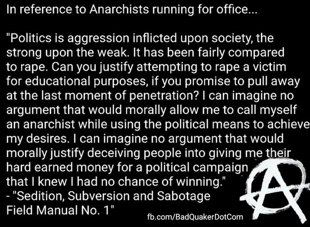 Anarchists running for office?