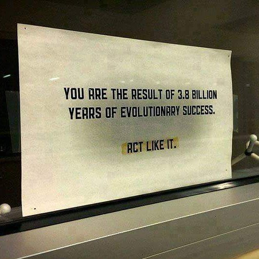 Evolution