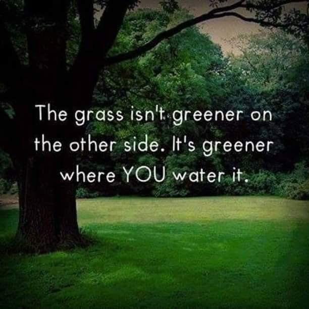 The grass isn't greener on the other side