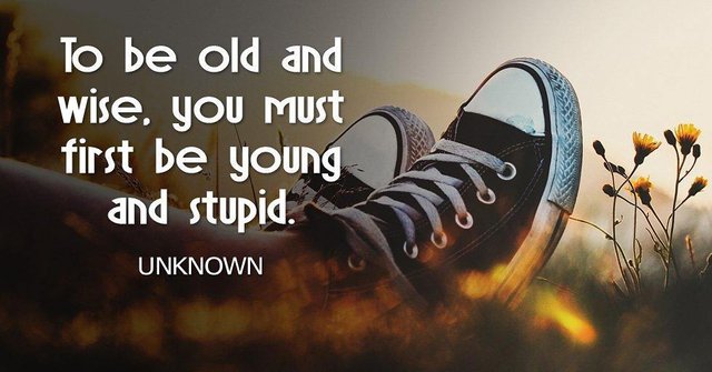 To be old and wise, you must first be young and stupid