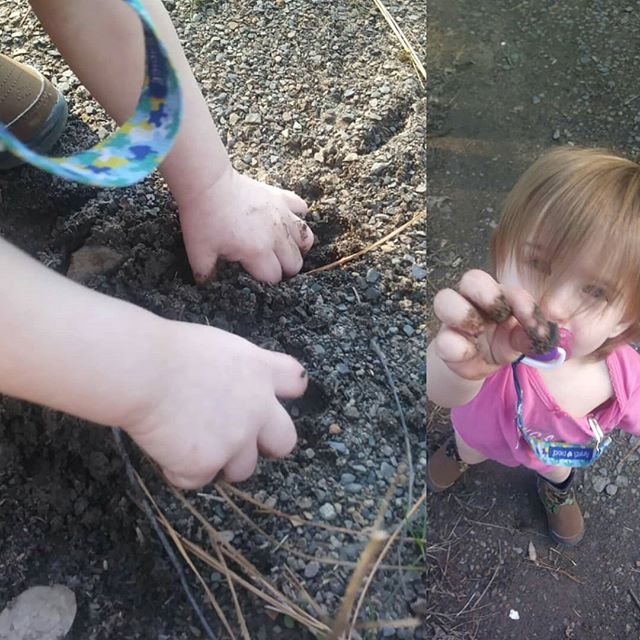 Alice digging in the dirt. lol she had fun, almost too much fun. #toddler @osirisvanpraag @chompermom