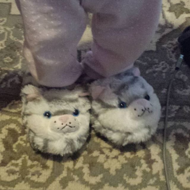 Cat slippers are the best. Alice loves them.