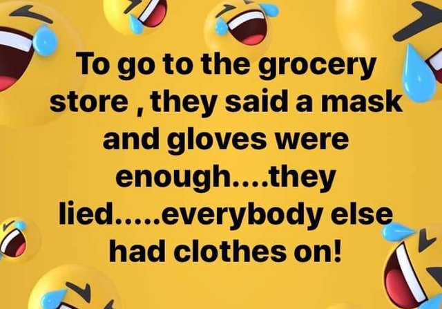 Image may contain: possible text that says 'To go to the grocery store they said a mask and gloves were enough....the lied..... ied.....everybody else had clothes on!'