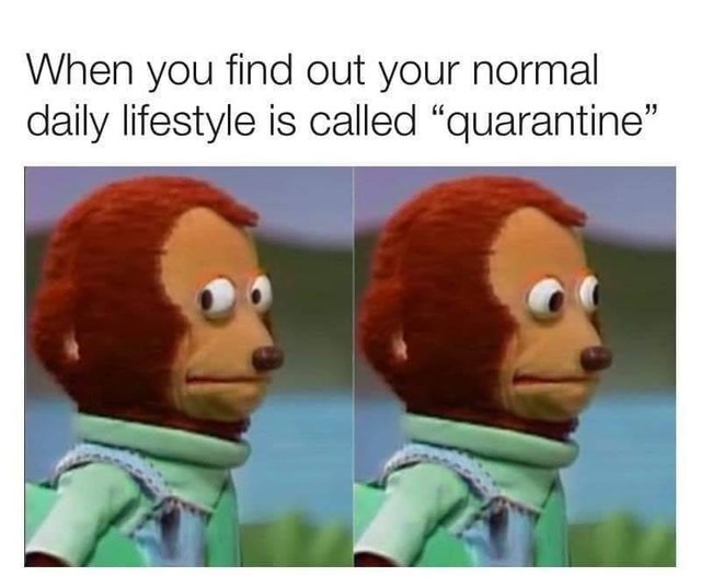 Image may contain: meme, possible text that says 'When you find out your normal daily lifestyle is called "quarantine"'