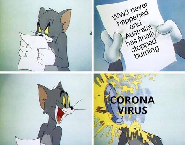Image may contain: possible text that says 'WW3 never happened and Australia finally has stopped burning CORONA VIRUS'