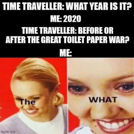 Image may contain: 1 person, possible text that says 'TIME TRAVELLER: WHAT YEAR IS IT? ME: 2020 TIME TRAVELLER: BEFORE OR AFTER THE GREAT TOILET PAPER WAR? ME: The WHAT imgflip.com'