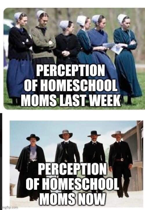 Image may contain: one or more people and meme, possible text that says 'PERCEPTION OF HOMESCHOOL MOMS LAST WEEK mgflip.com PERCEPTION OF HOMESCHOOL MOMS NOW'