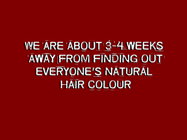 Image may contain: possible text that says 'WE ARE ABOUT 3-4 WEEKS AWAY FROM FINDING OUT EVERYONE'S NATURAL HAIR COLOUR'