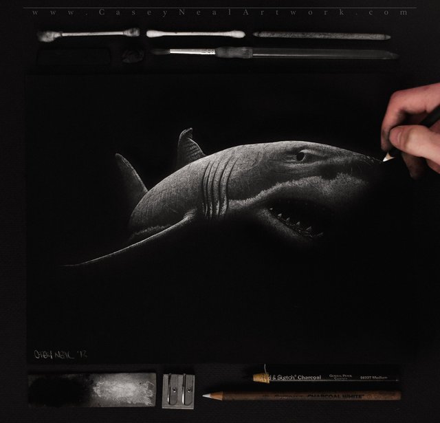 Shark In The Darkness' - Original Charcoal Drawing by