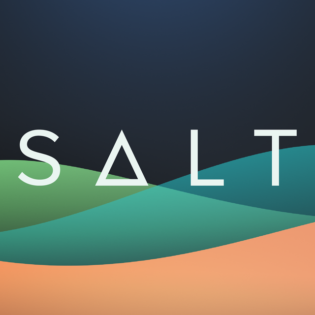SALT Image