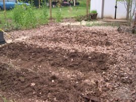 photo of, digging up beds for transplants