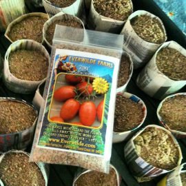 photo of, paper tomato pots