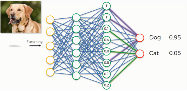 Neural neanat that classifies dogs and cats