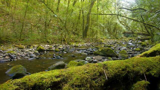 A stream running through Ta Xua Mountain, Yen Bai Province. Photo: Tuoi Tre