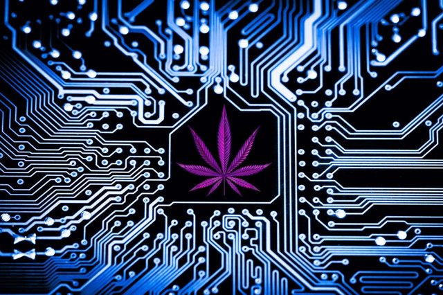 AI is perfecting the cannabis shopping experience | GreenState