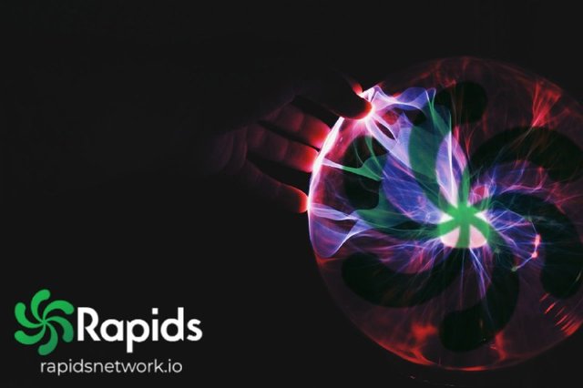 Rapids Network