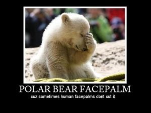 polar bear face palm