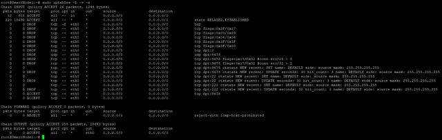 sudo iptables check SmartNode