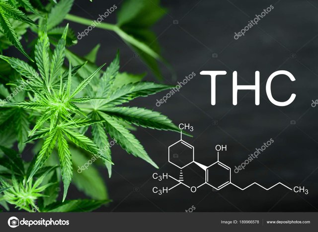 depositphotos_189966578-stock-photo-thc-chemical-formula-beautiful-background.jpg