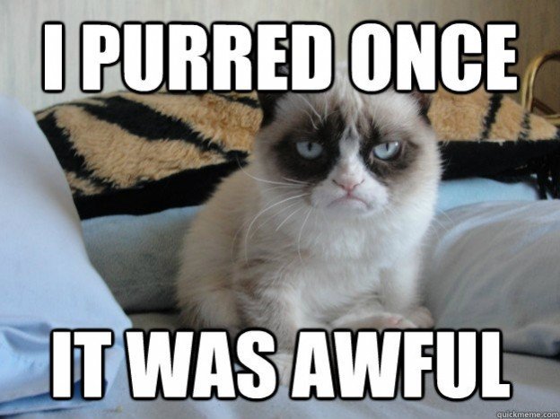 Image result for grumpy cat meme