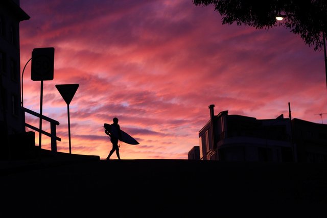 Surfing Sunset