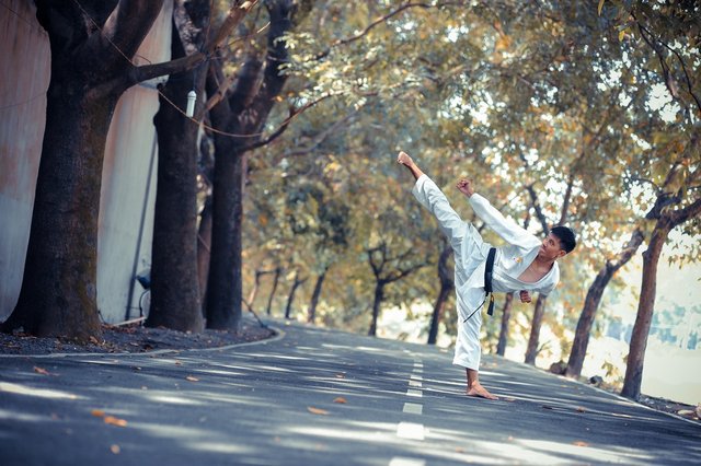 Yoko geri in karate | HD photo by Thao Le Hoang (@h4x0r3) on Unsplash