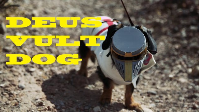 DEUS VULT DOG