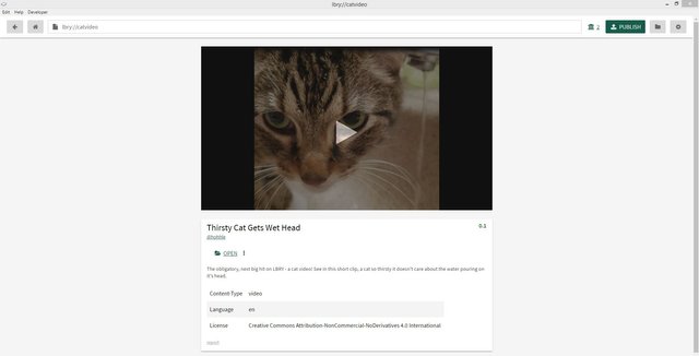 Search catvideo