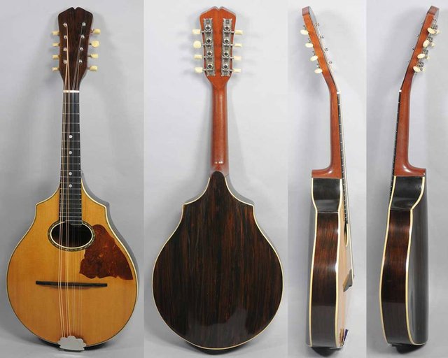 Vega Mandolins