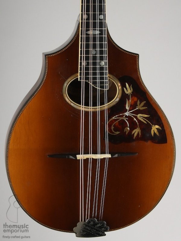 Vega mandolin