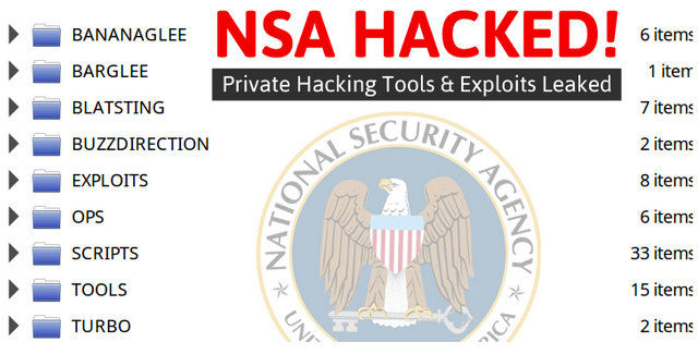 NSA HACKED