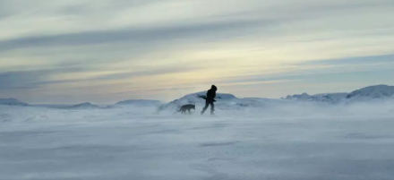 Alpha: The Return of the Wolf Companion