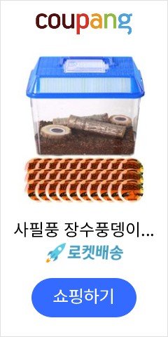 사필풍 장수풍뎅이 사각 대형 실속 세트 랜덤 발송, 1세트