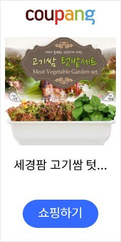 세경팜 고기쌈 텃밭세트(상추 깻잎), 화이트화분(상추,깻잎)