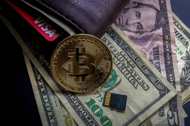 STEEM POSTS