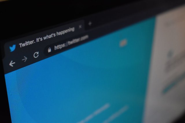STEEM POSTS